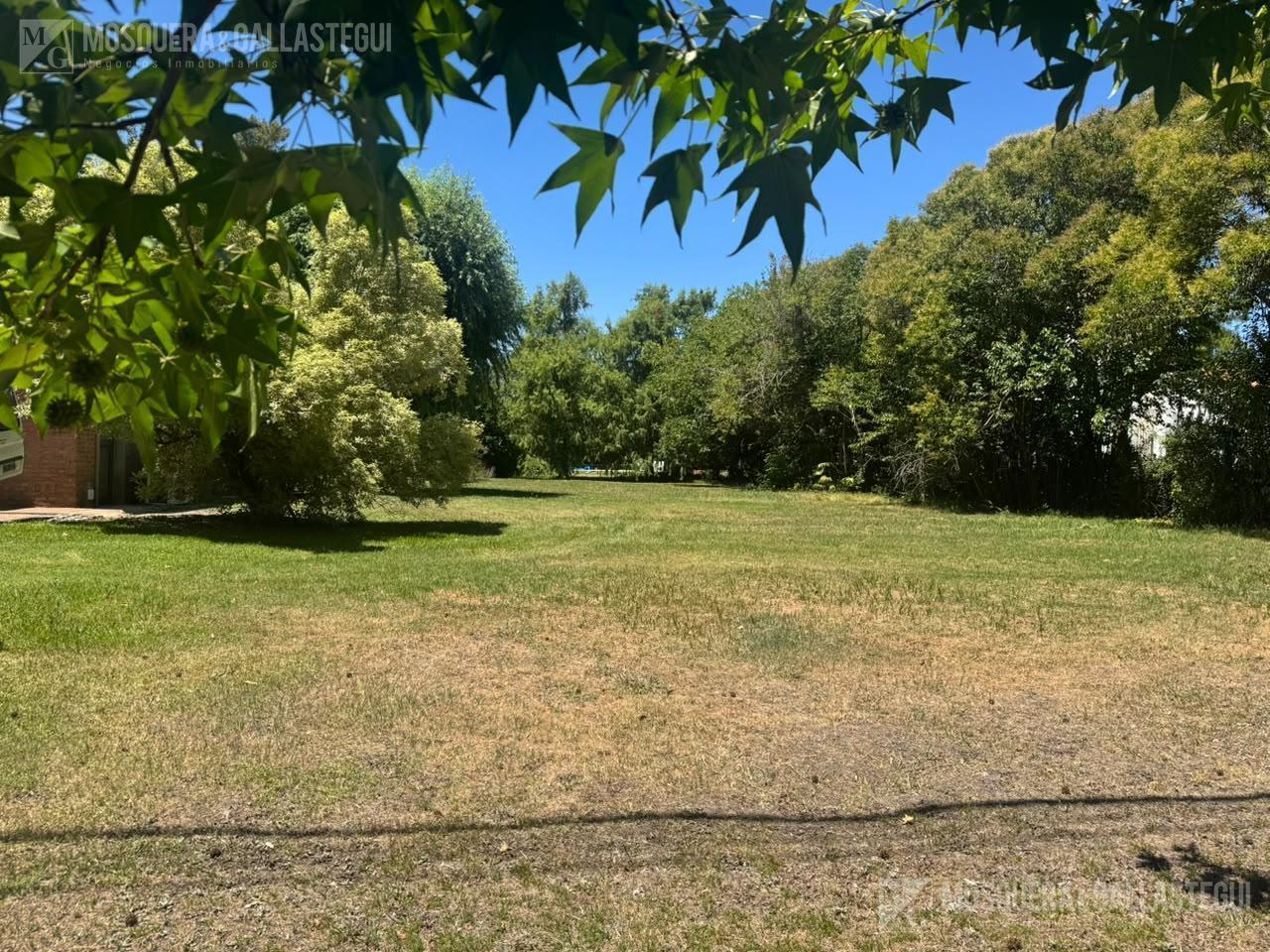 Foto de Terreno en Golfers, imagen 4