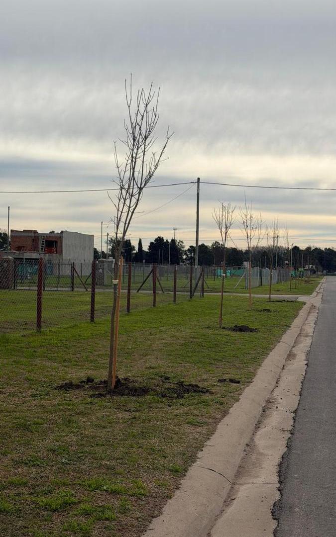Foto de Terreno en Barrio Nueva Zelaya 2, imagen 5