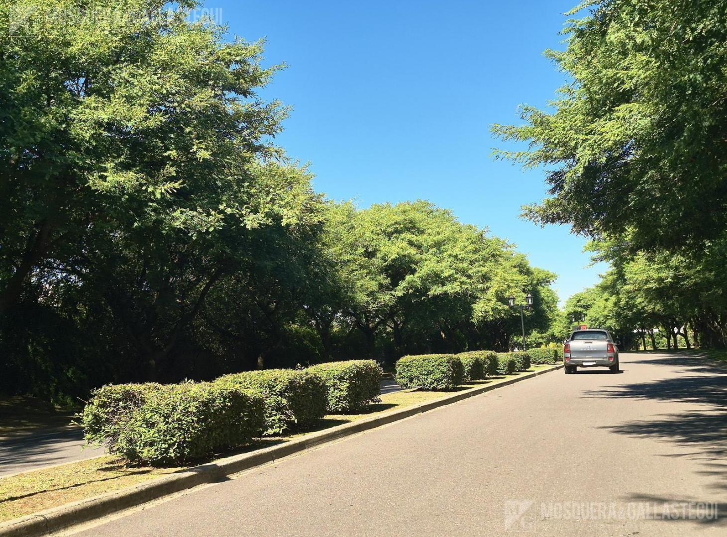 Foto de Casa en San Matias, imagen 5