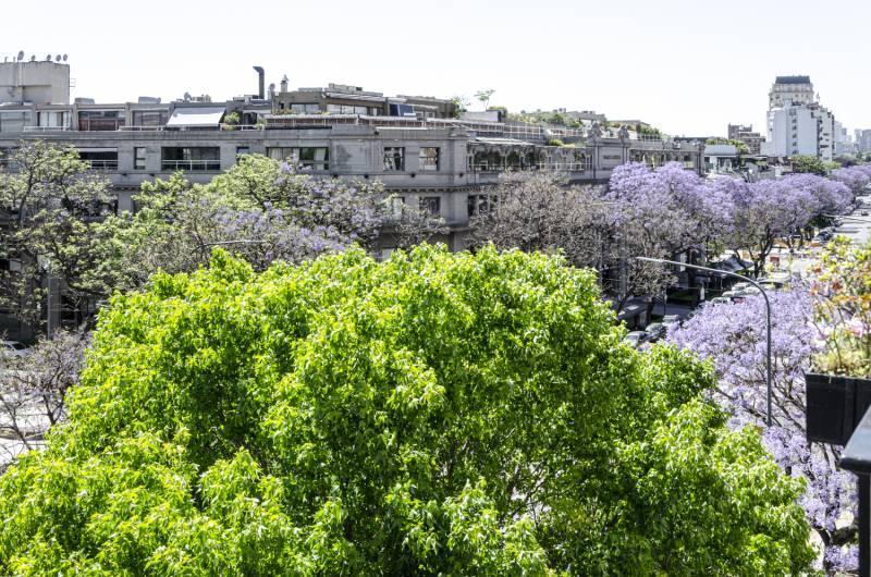 Av Figueroa Alcorta y San Martín de Tours 2