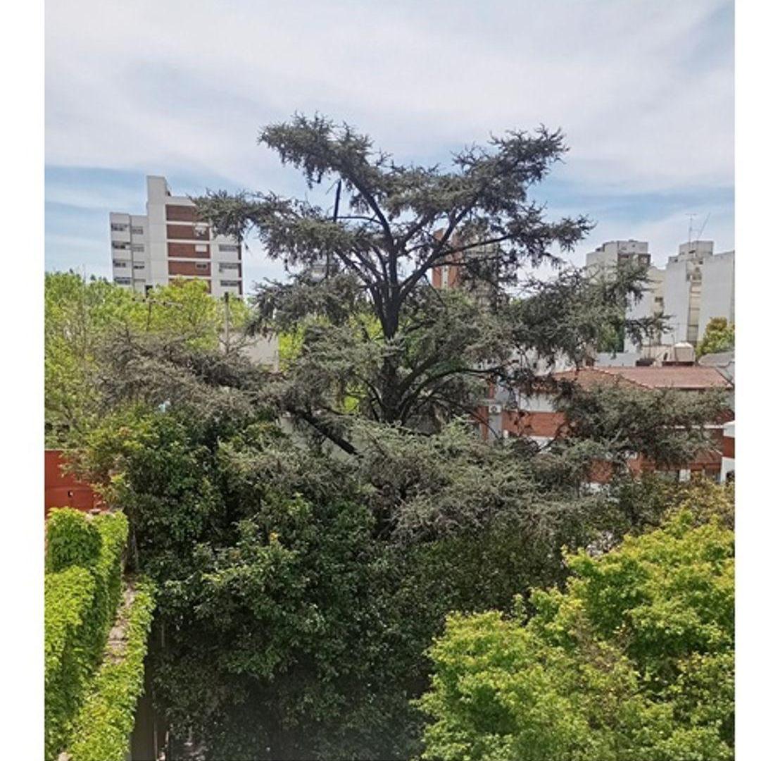 Foto de 4 ambientes, 3 dormitorios + living comedor. Cochera fija cubierta, imagen 1