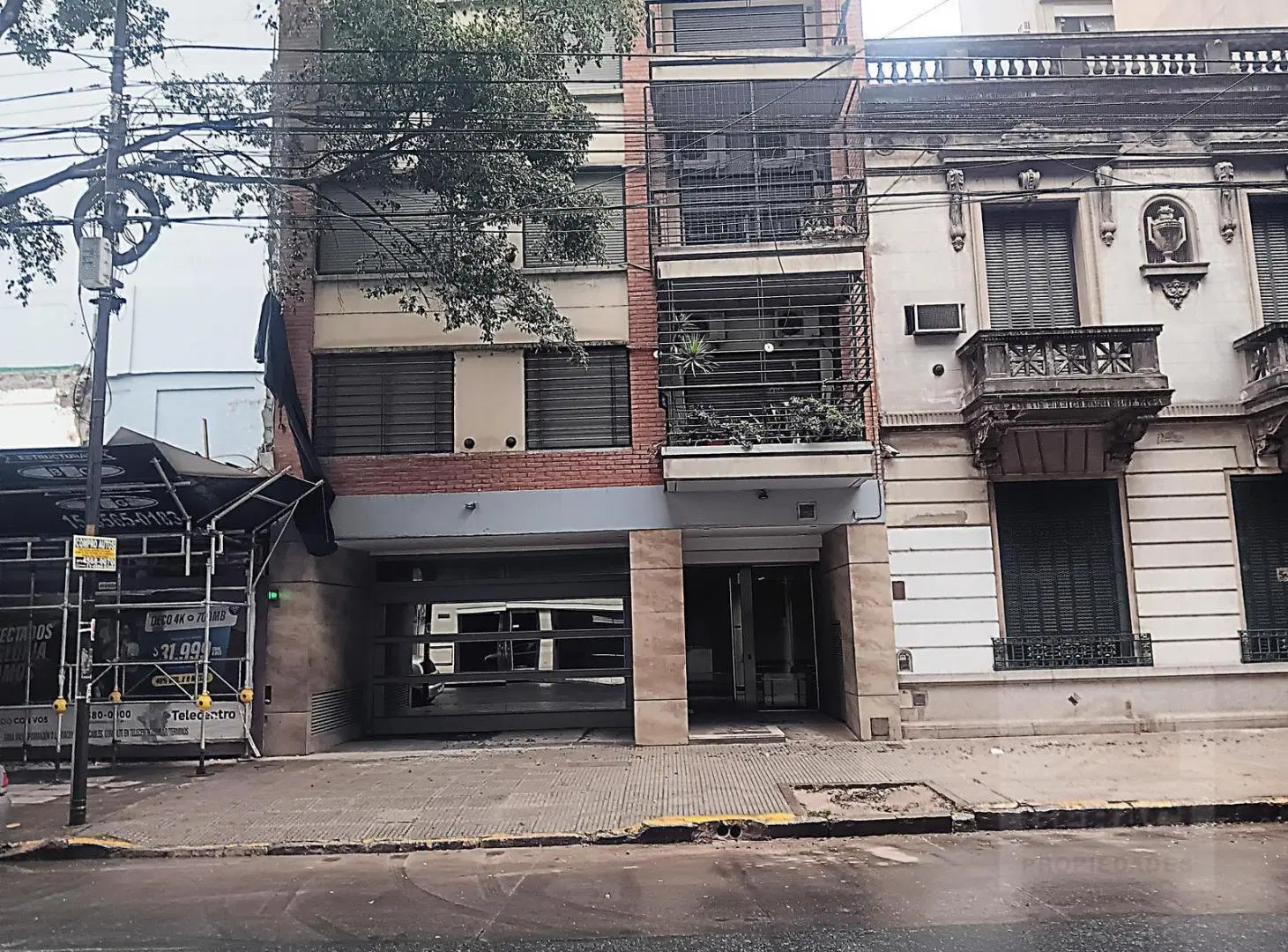 Departamento - Flores 2