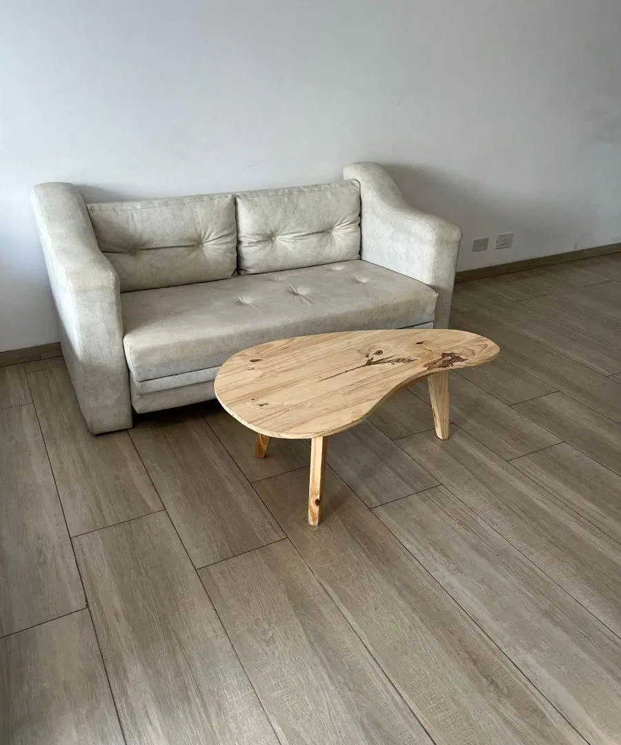 DIVINO DEPARTAMENTO FRENTE AL. SHOPPING APTO PROFESIONAL O VIVIENDA $ 650.000 2