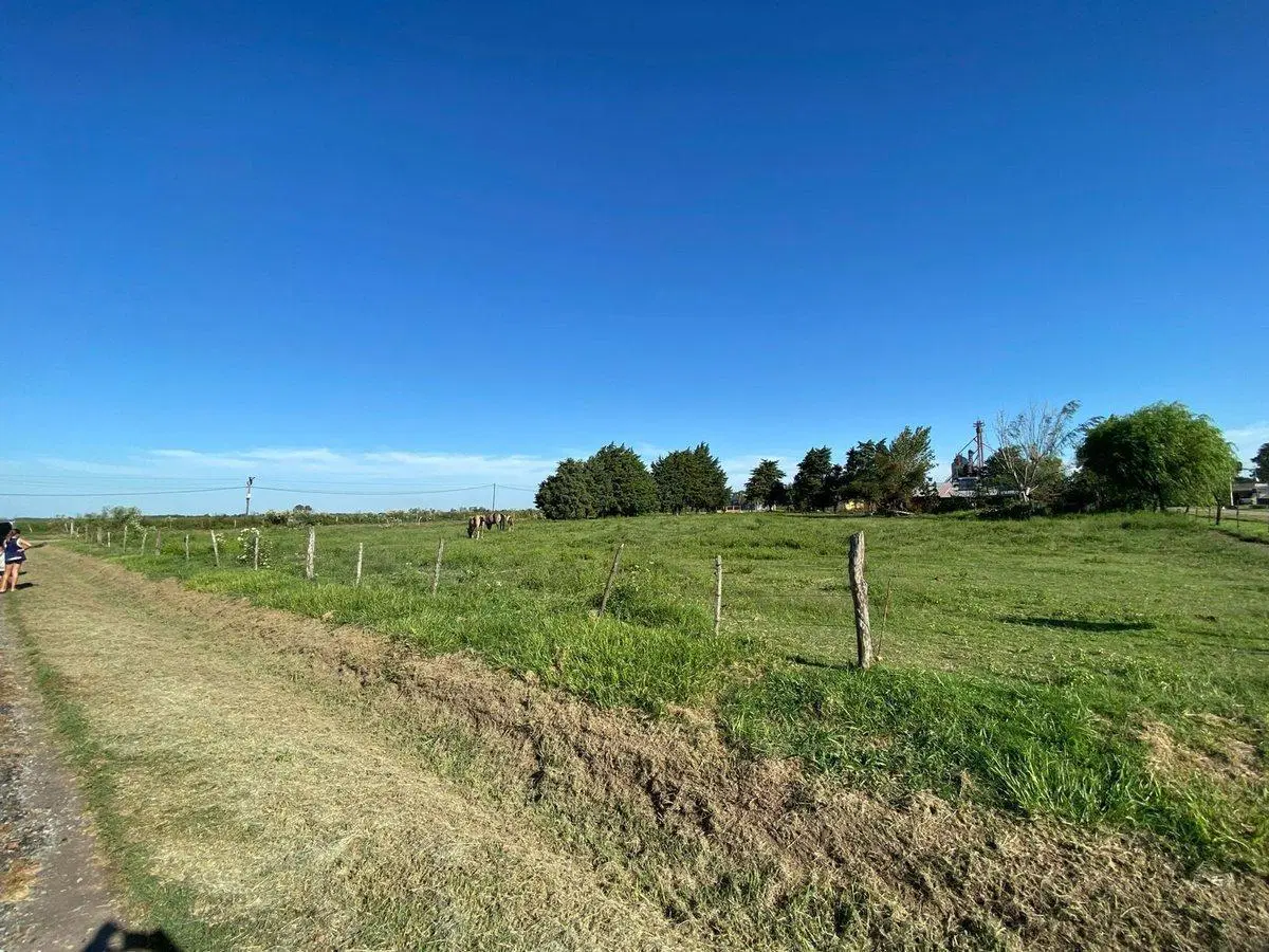 LOTES EN SAN CARLOS NORTE 4