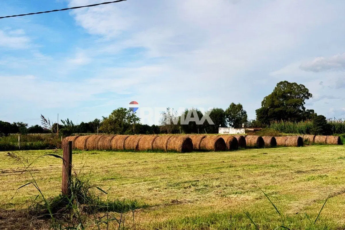 VENTA 6 HAS EN RECREO - IDEAL INVERSIÓN CON RENTA 2