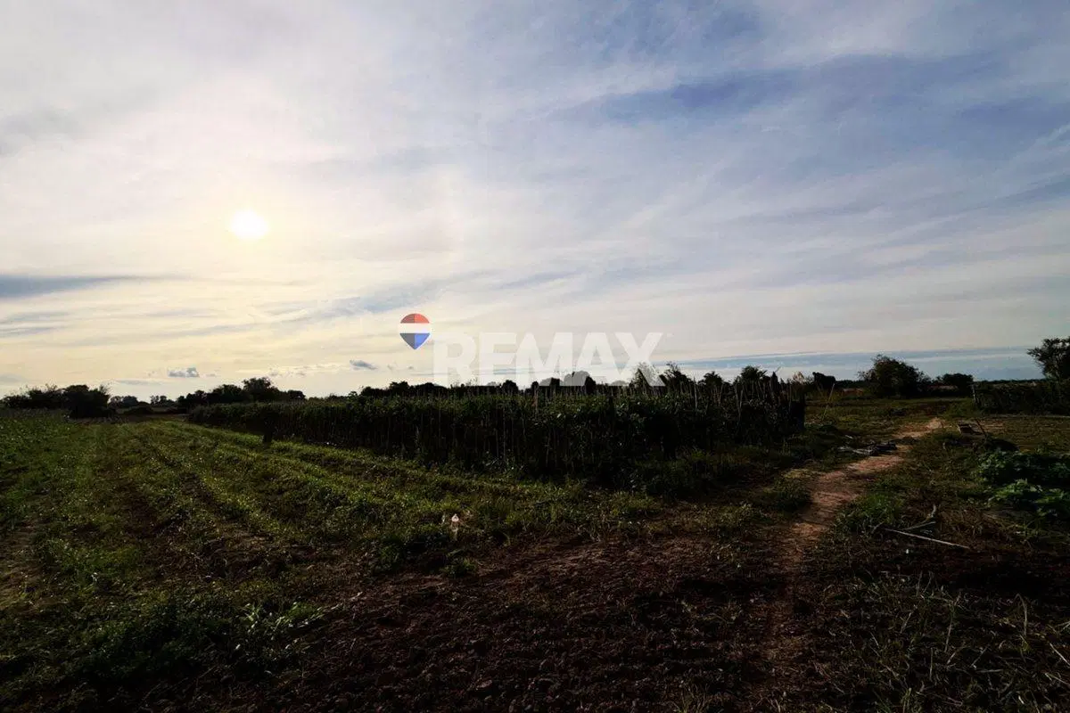 VENTA 6 HAS EN RECREO - IDEAL INVERSIÓN CON RENTA 3