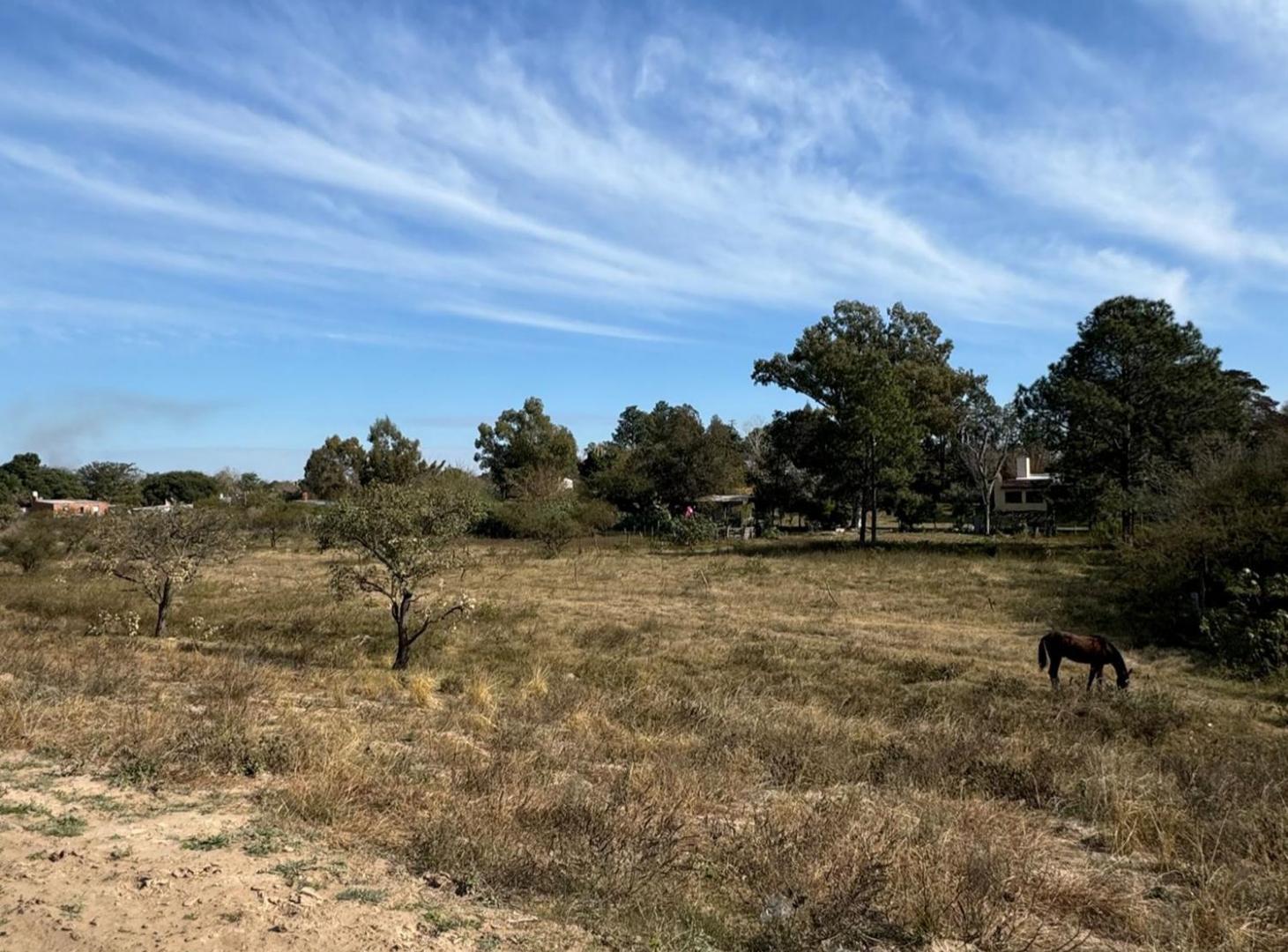 Gran terreno en Ruta 1