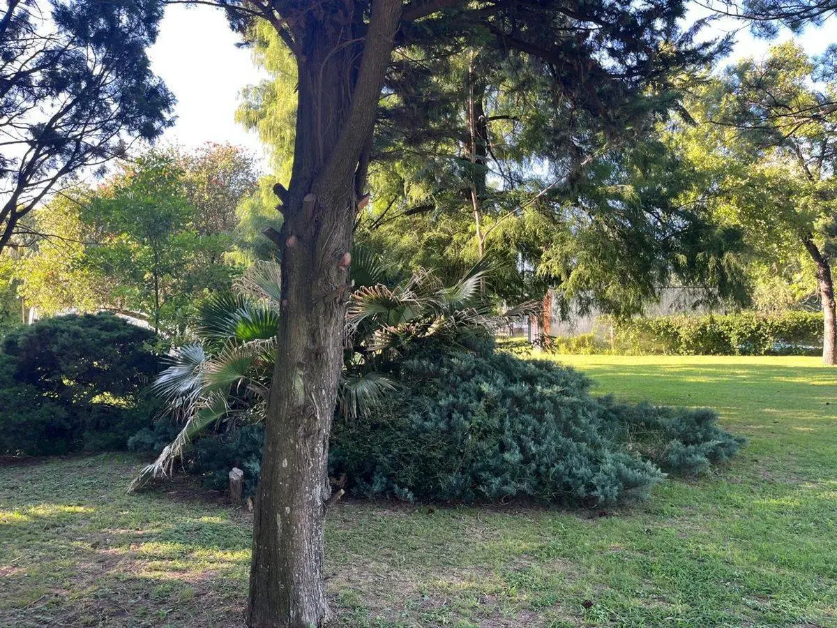 LOTE EN LA TATENGUITA 5