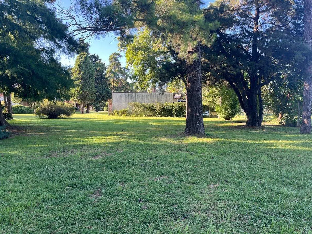 LOTE EN LA TATENGUITA, SANTO TOME 4