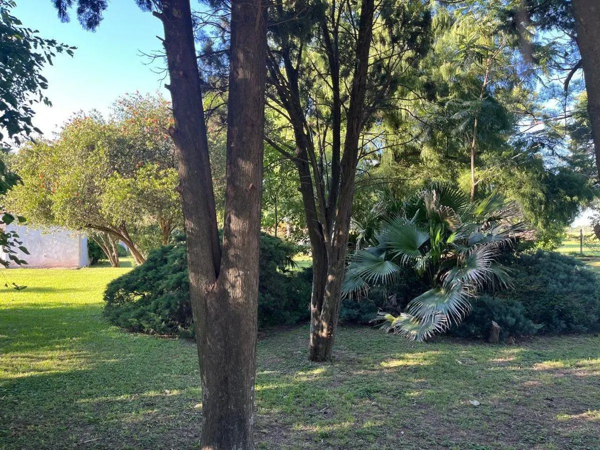 LOTE EN LA TATENGUITA, SANTO TOME 5