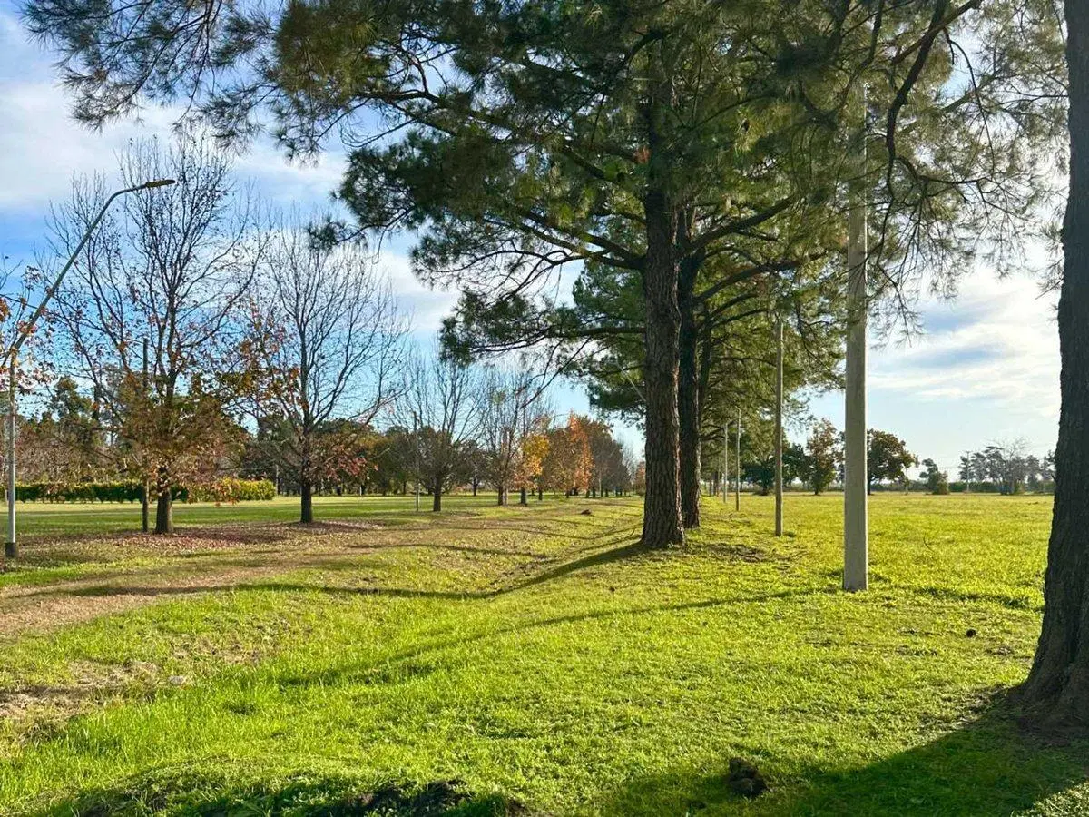 TERRENO EN VENTA  |  Los Molinos Country Club 4