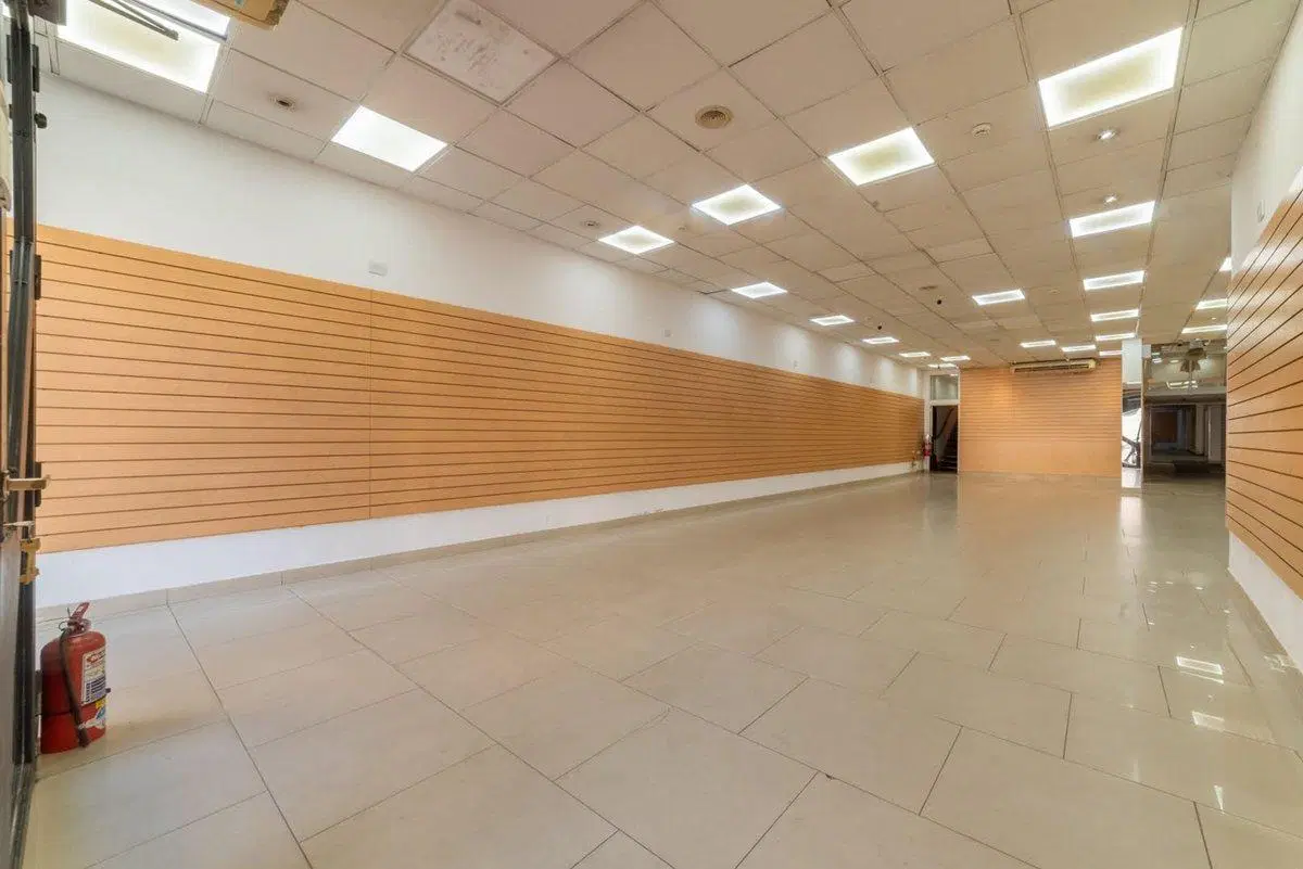 VENTA GRAN LOCAL COMERCIAL, OFICINAS Y CASA P.ALTA 2