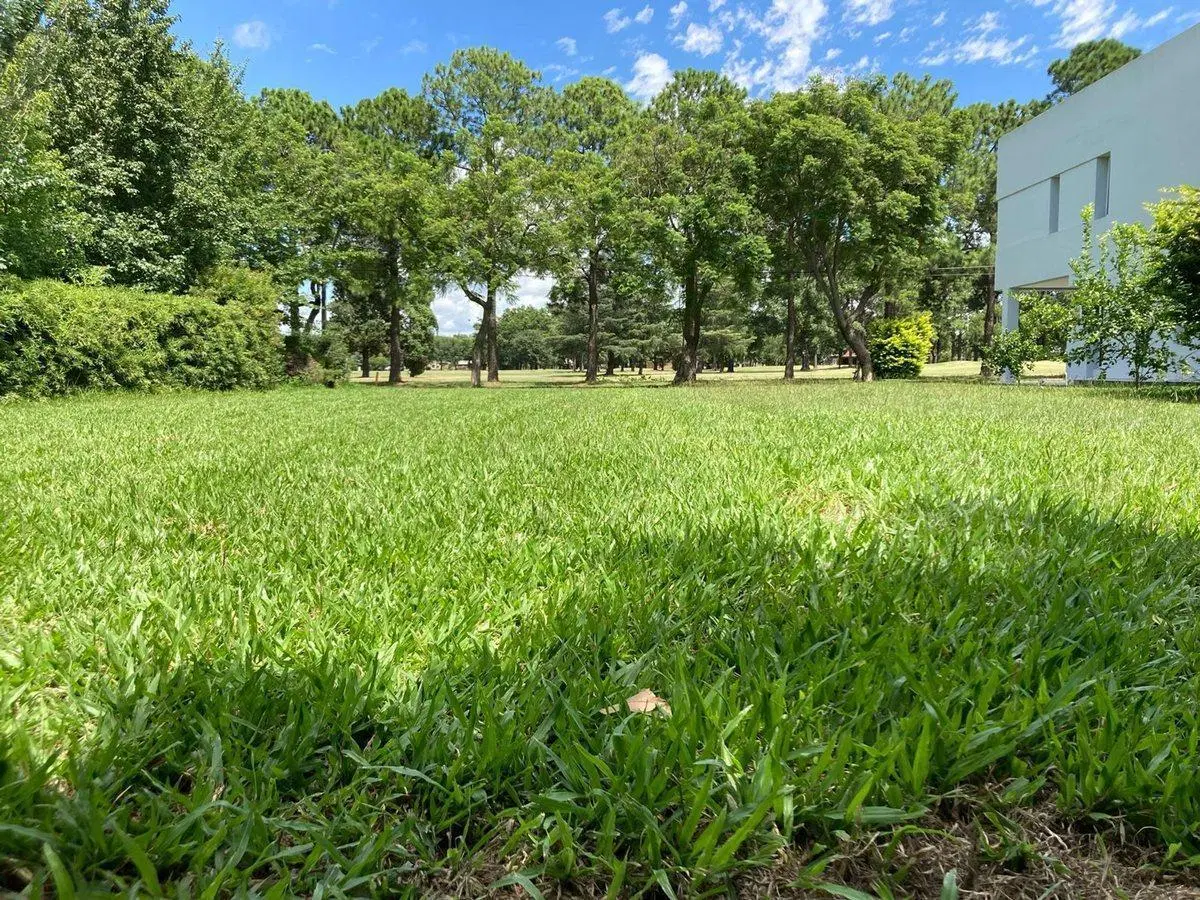 VENTA TERRENO EL PASO FRENTE A CANCHA DE GOLF 2