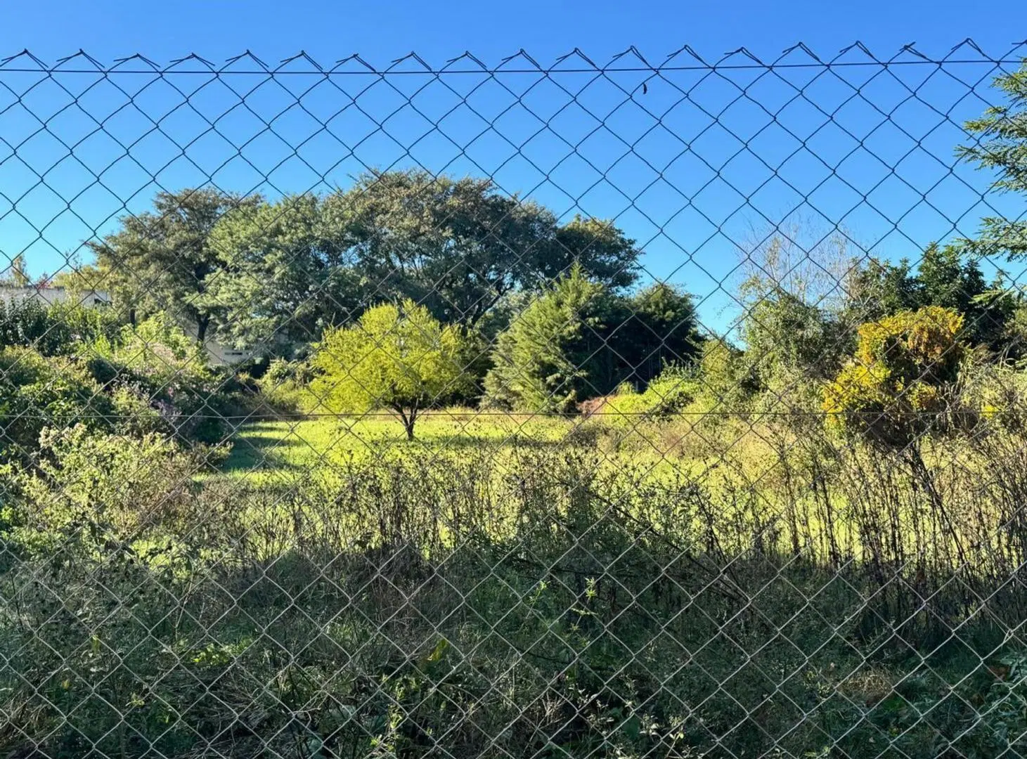 Venta de Gran Terreno en COLASTINE !!! 4