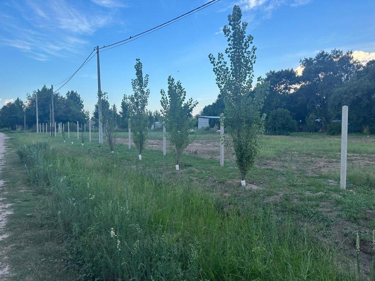 Venta Terreno Ruta 1 altura km 10 Rincón