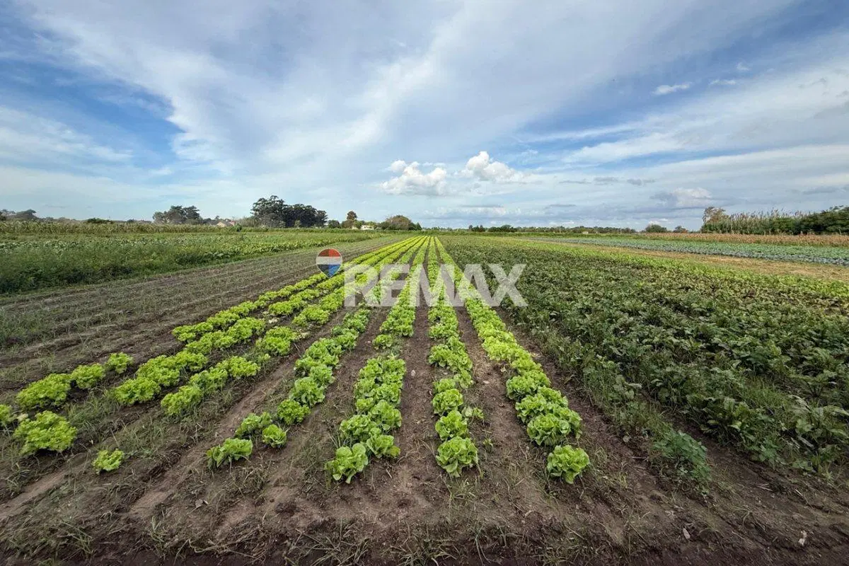 VENTA 6 HAS EN RECREO - IDEAL INVERSIÓN CON RENTA 3