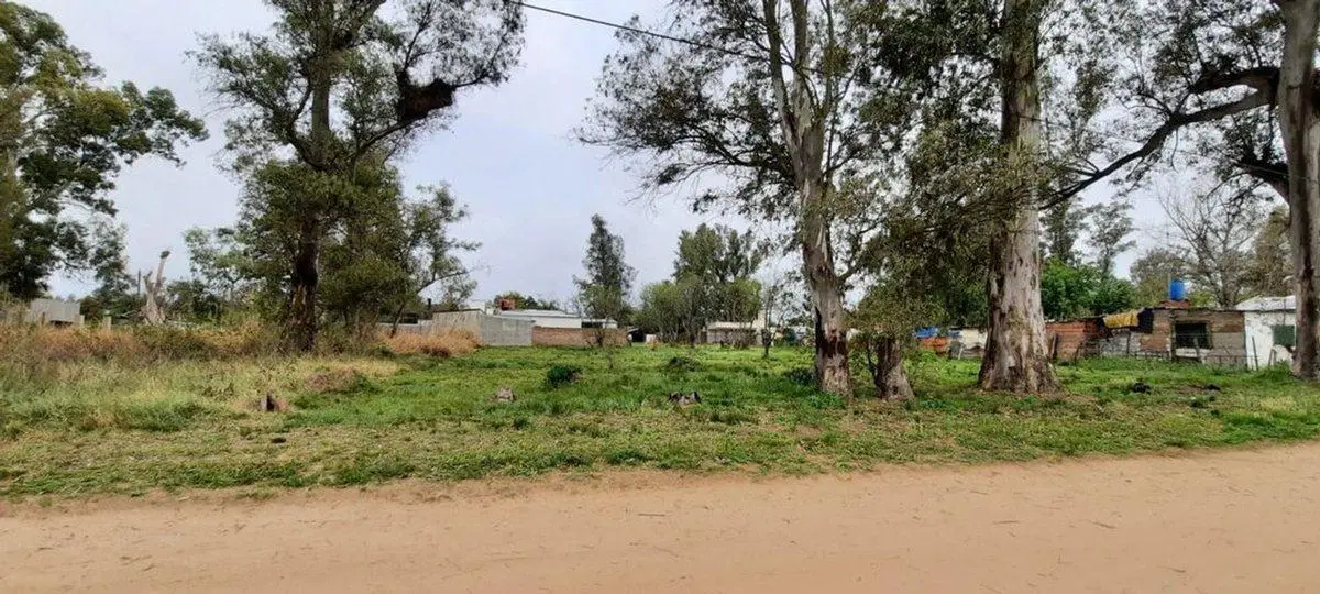 HERMOSO TERRENO A 300MTS DE LA RUTA AL ESTE 2