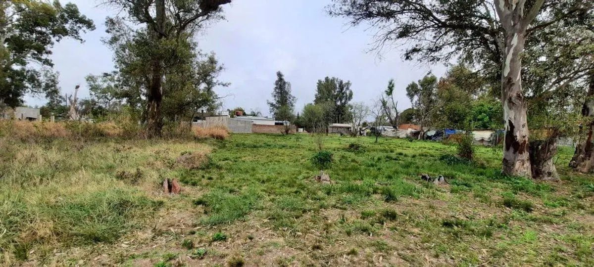 HERMOSO TERRENO A 300MTS DE LA RUTA AL ESTE 4