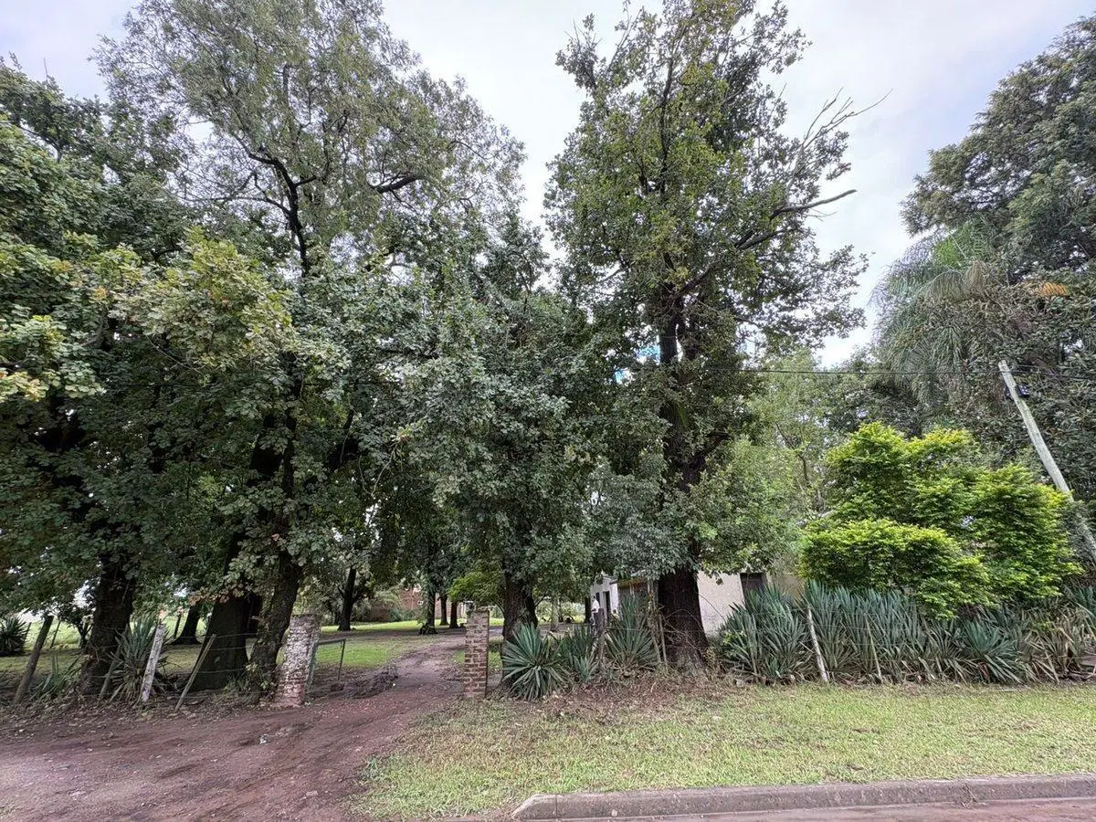 TERRENO CON GRAN FORESTACION EN RECREO L.1 2