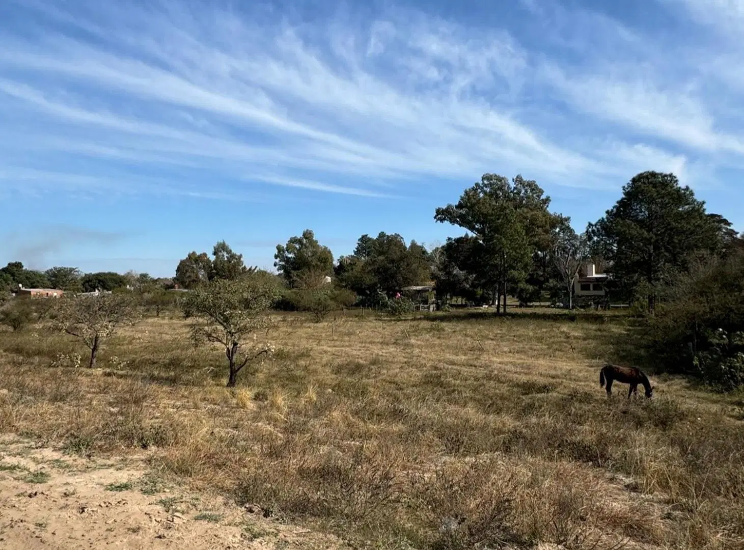 Gran terreno en Ruta 1 3