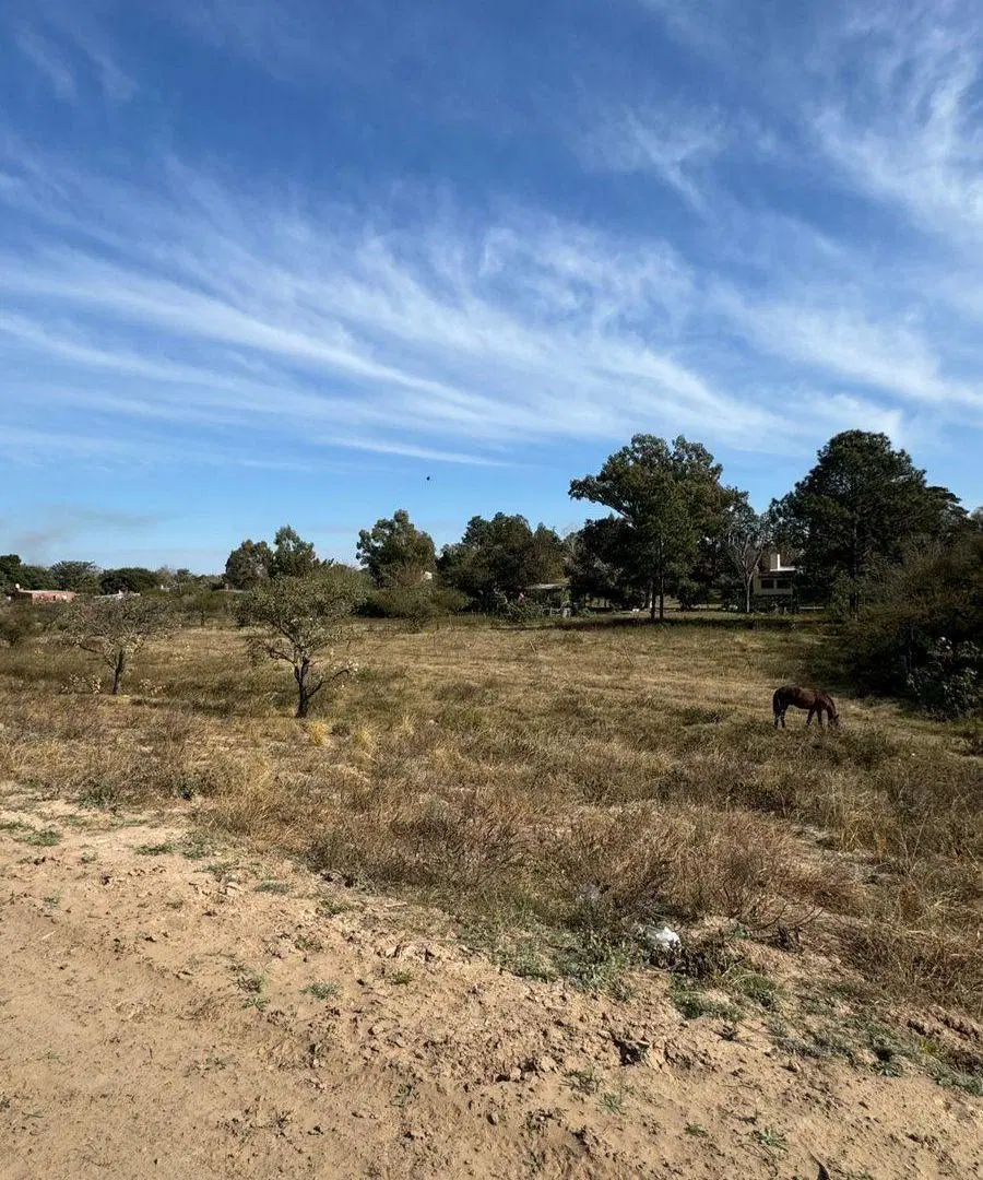 Gran terreno en Ruta 1 3