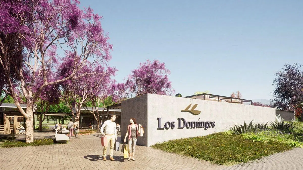 LOTE EN LOS DOMINGOS - ETAPA 1 3