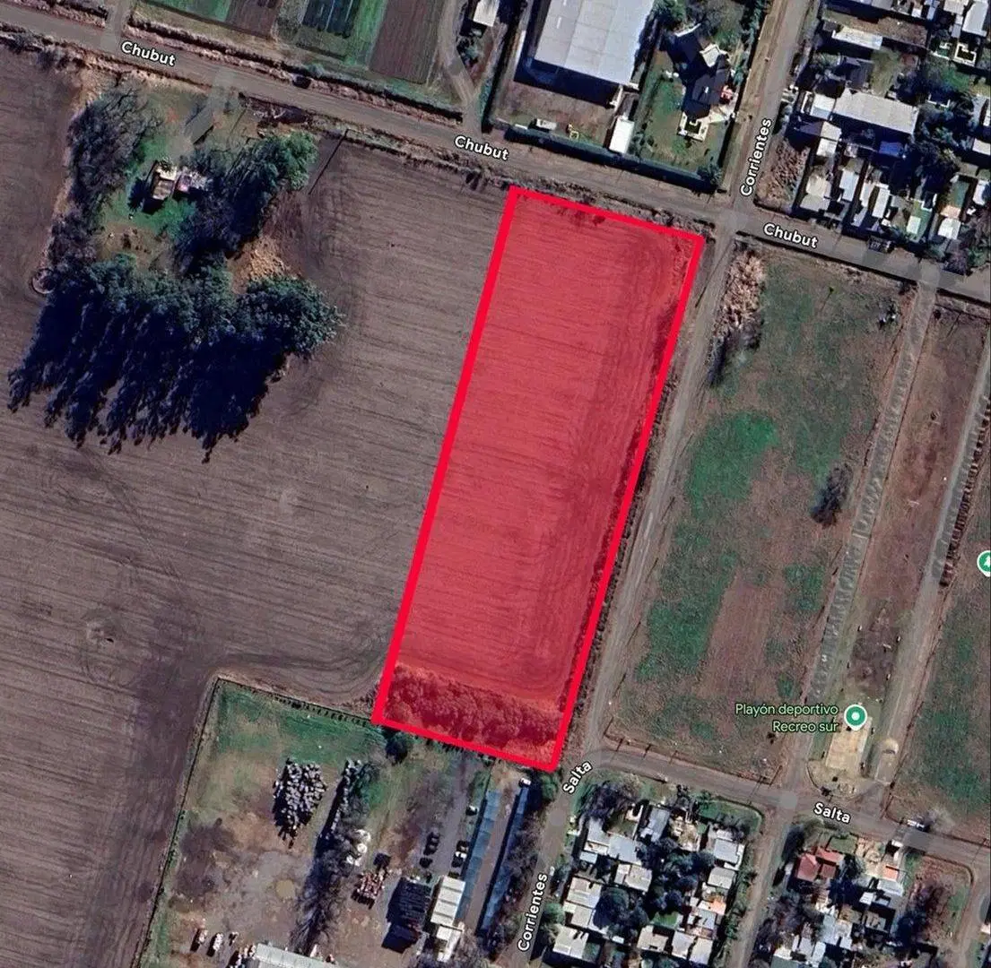 CAMPO EN RECREO 4
