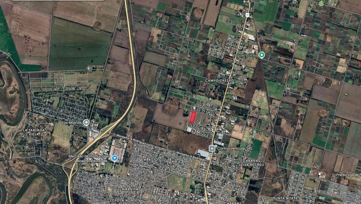 CAMPO EN RECREO 2