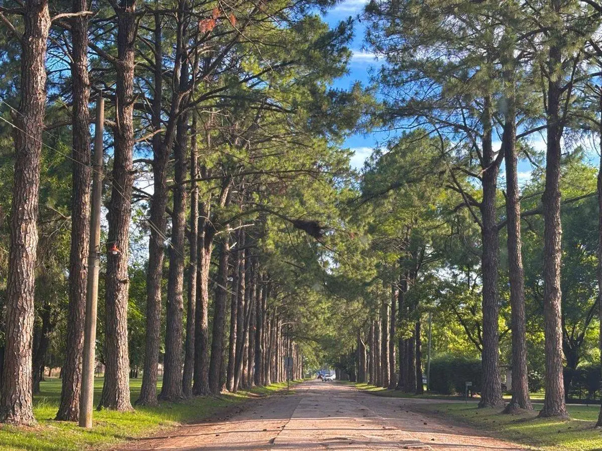 TERRENO EN VENTA  |  Los Molinos Country Club 4