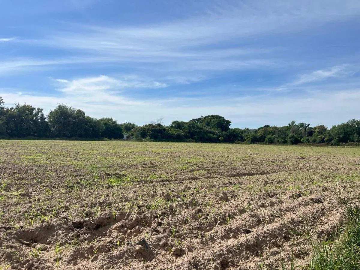 VENDO 2 LOTES LINDEROS EN CORONDA - APTOS LOTEO 3