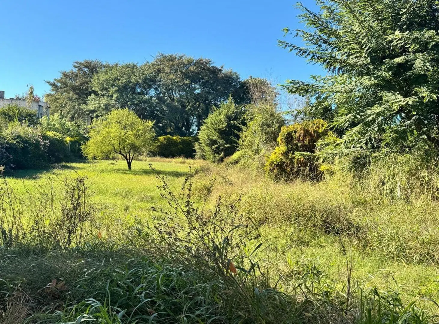 Venta de Gran Terreno en COLASTINE !!! 3