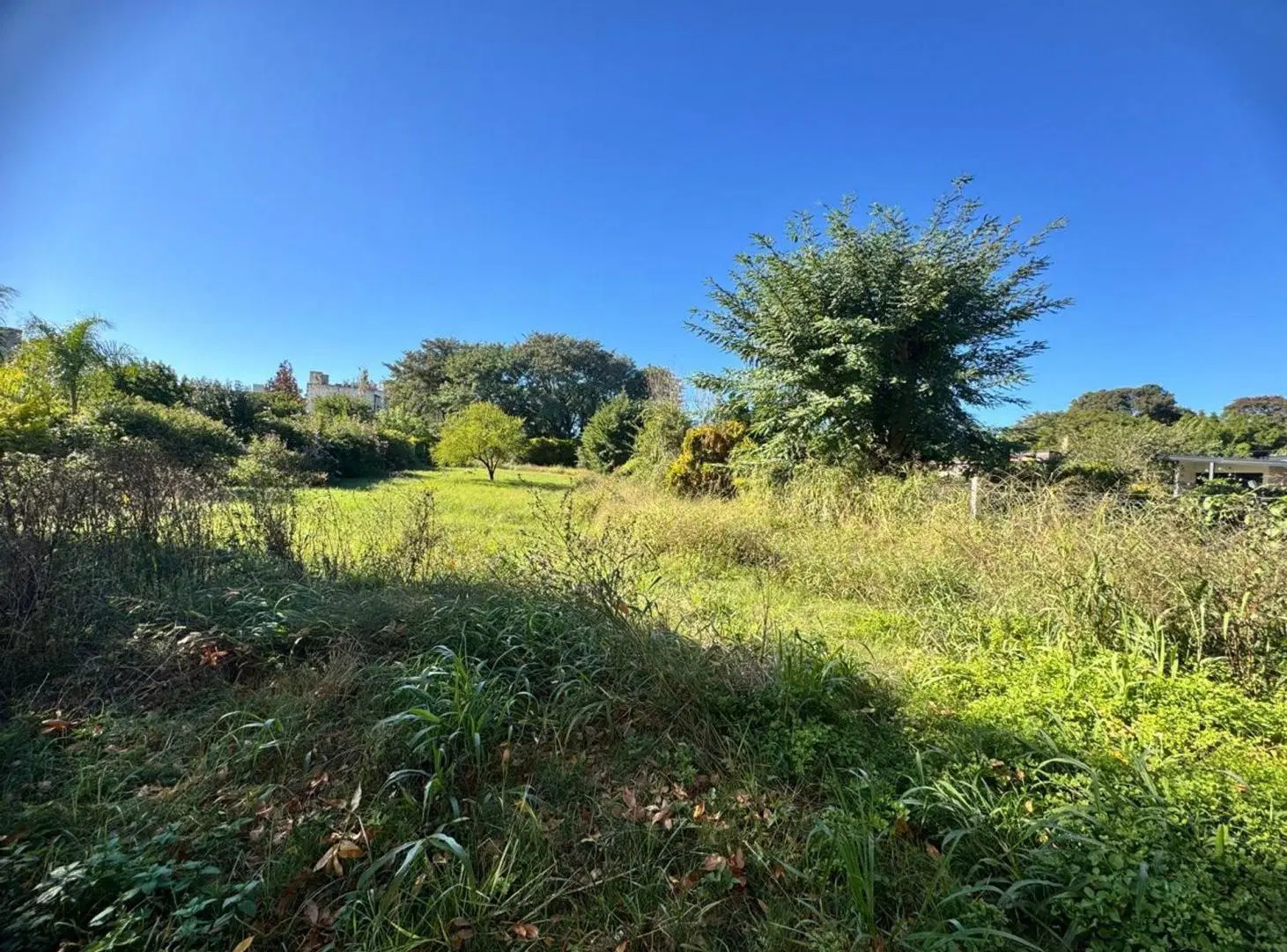 Venta de Gran Terreno en COLASTINE !!! 4