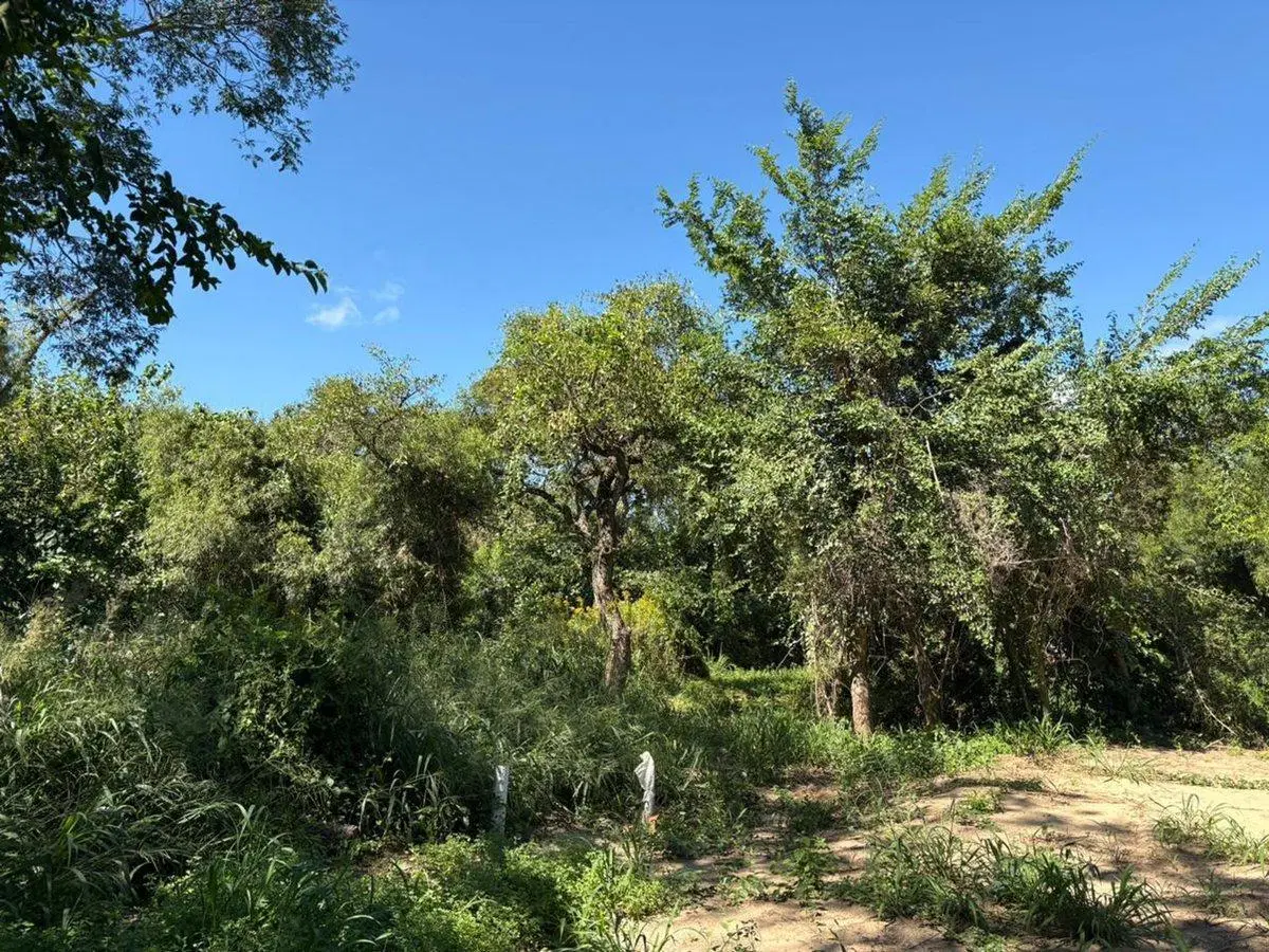 Lote de 600 metros en  LOS CEIBOS, Arroyo Leyes 2