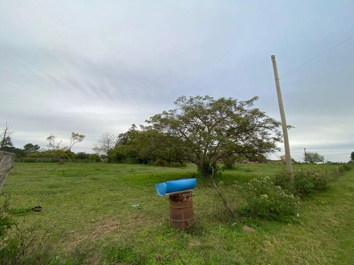 GRAN TERRENO EN CAYASTA SOBRE RUTA 1 2