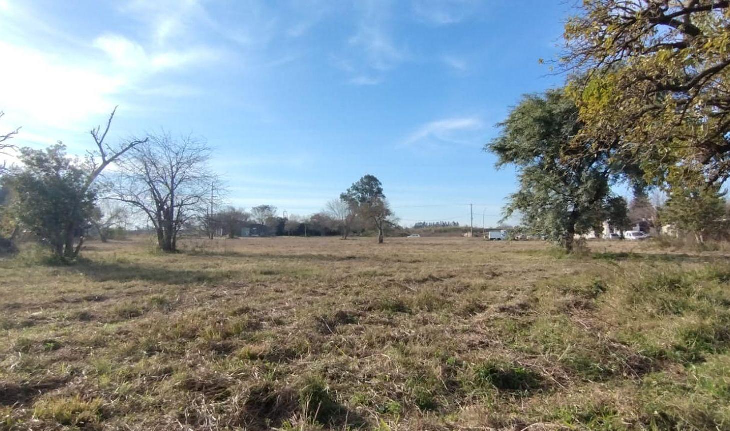 Foto de VENTA TERRENO DE 1,3 HECTÁREAS EN ZONA NORTE, imagen 5
