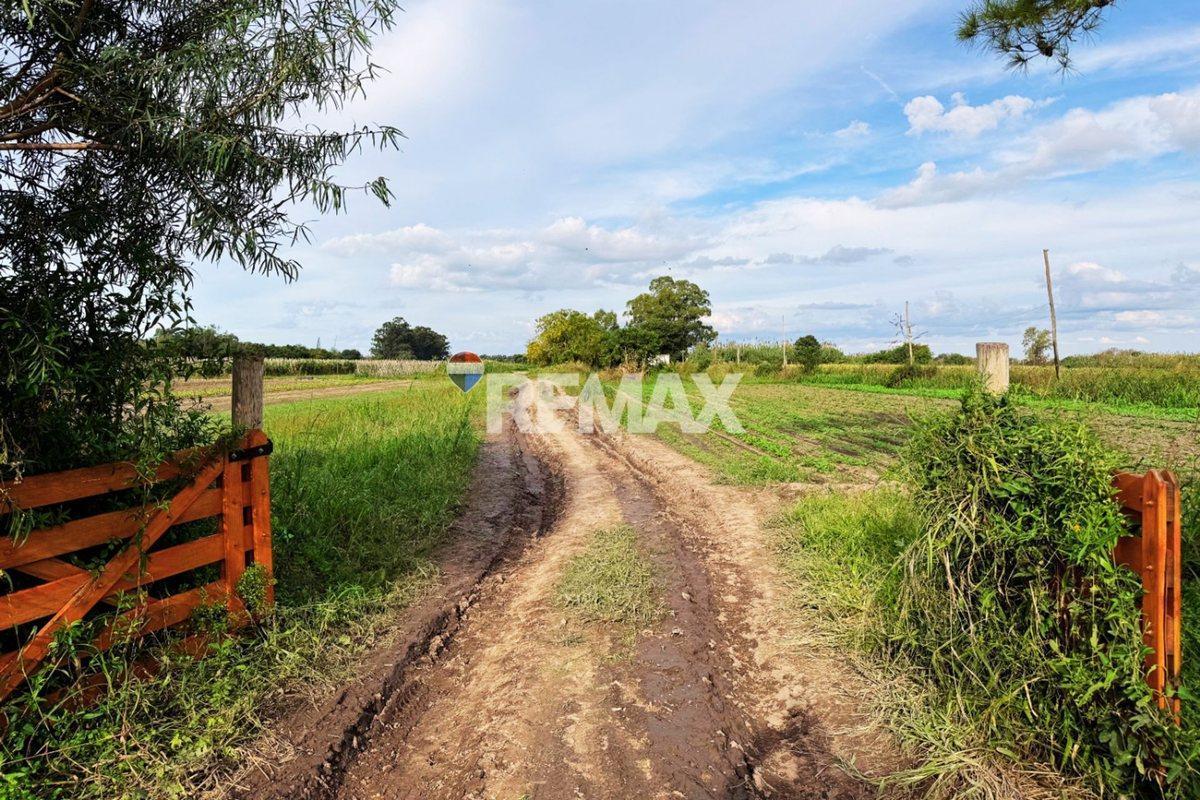 Foto de VENTA 6 HAS EN RECREO - IDEAL INVERSIÓN CON RENTA, imagen 1