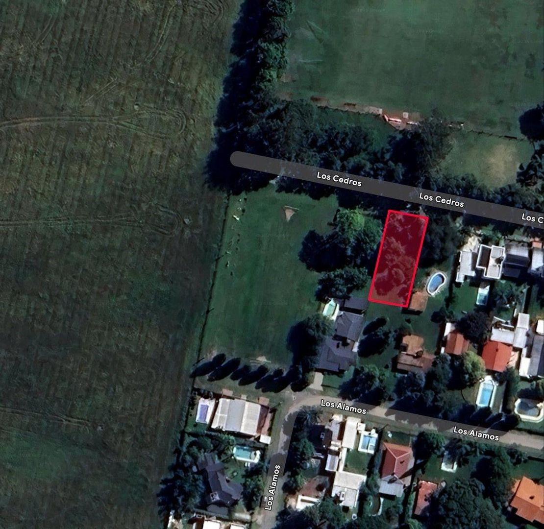 Foto de LOTE EN LA TATENGUITA, imagen 2