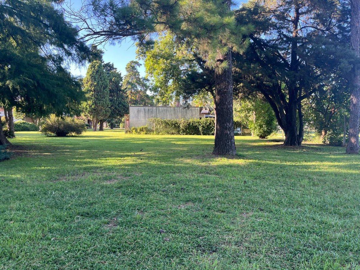 Foto de LOTE EN LA TATENGUITA, imagen 3