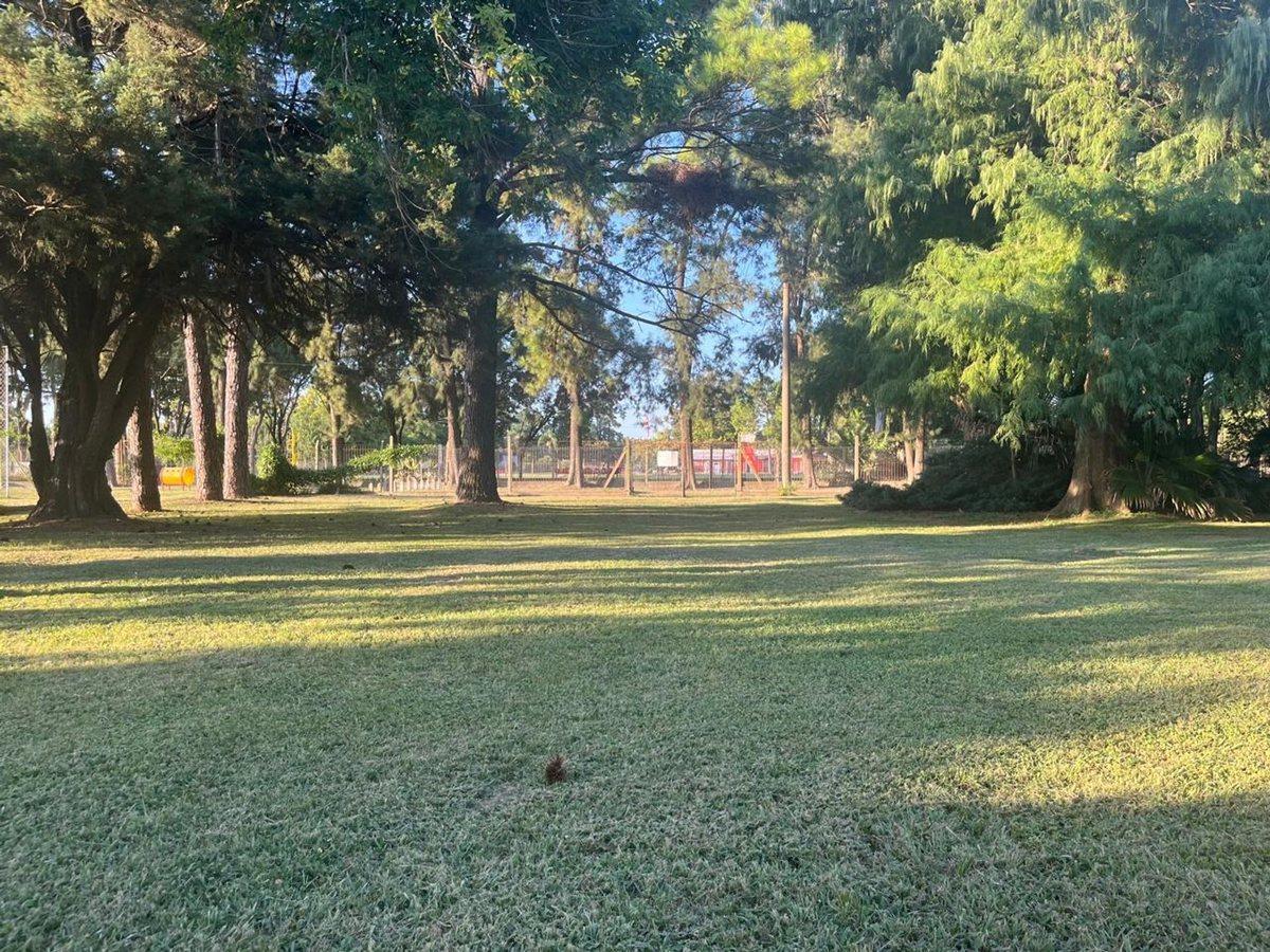 Foto de LOTE EN LA TATENGUITA, imagen 4