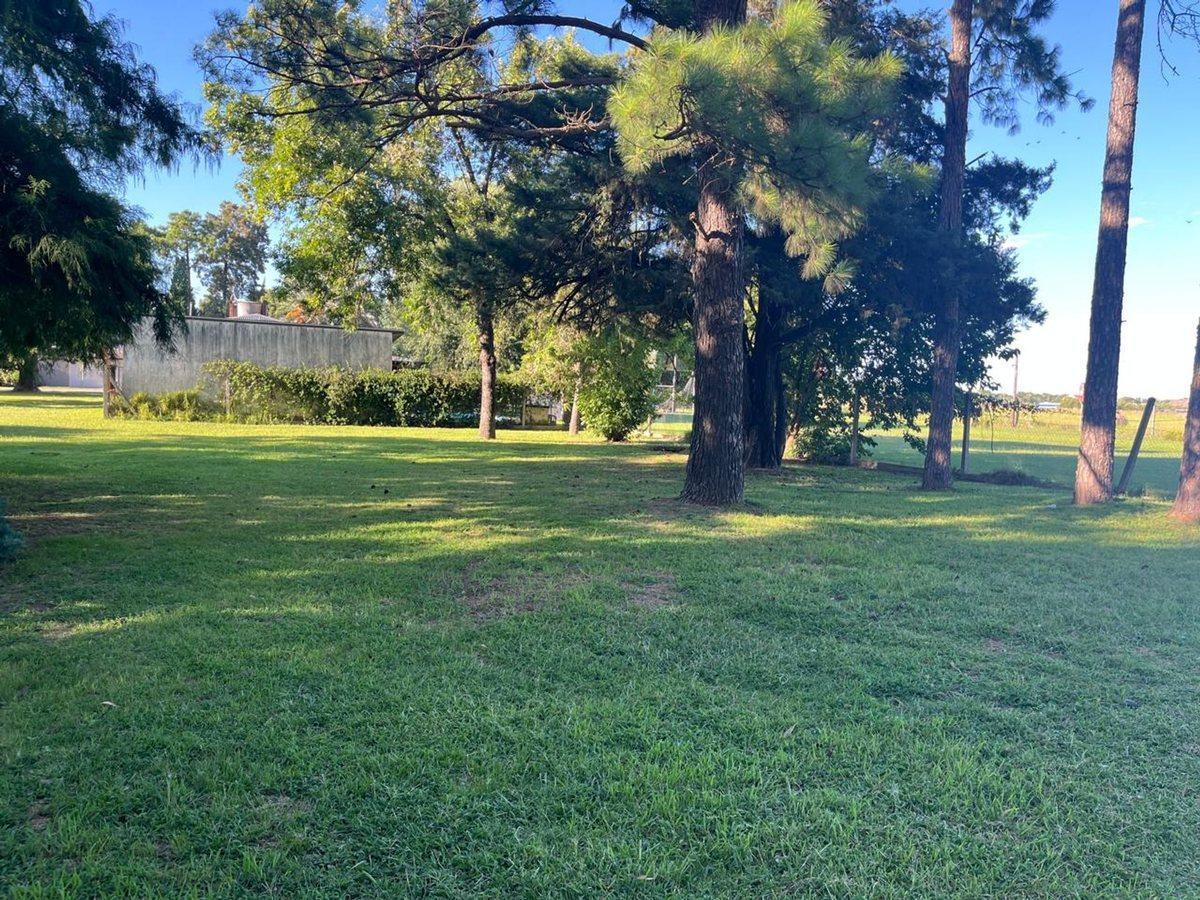 Foto de LOTE EN LA TATENGUITA, SANTO TOME, imagen 4
