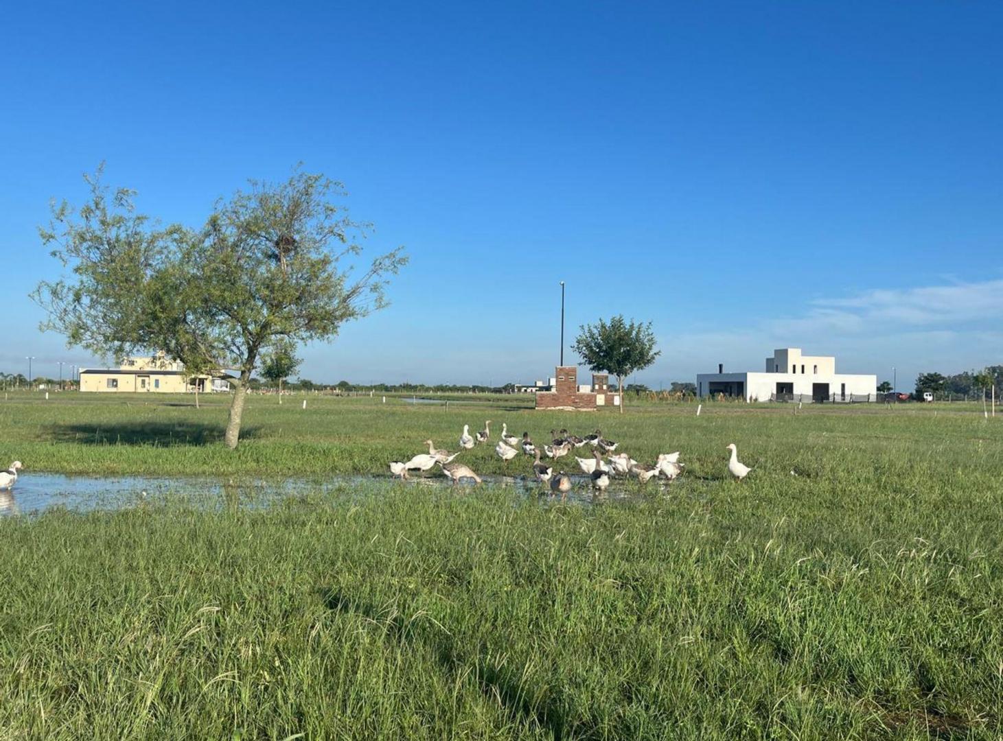 Foto de LOTE 20, MANZANA 7, BARRIO 5 , LA SERENA, NUEVOS A, imagen 4