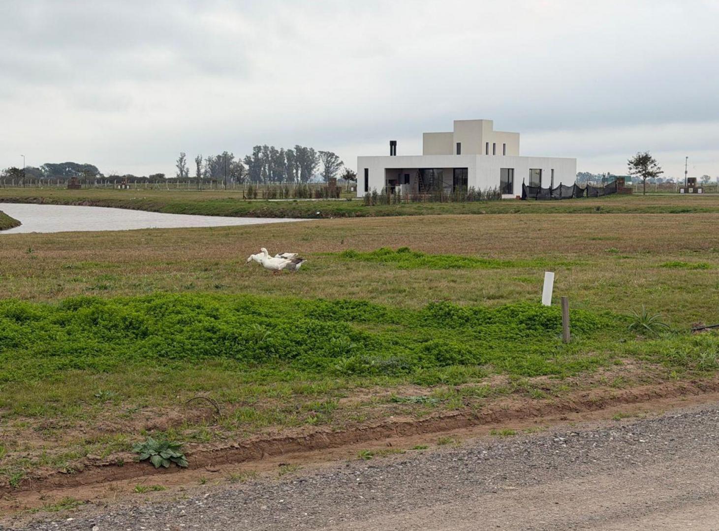 Foto de LOTE 20, MANZANA 7, BARRIO 5 , LA SERENA, NUEVOS A, imagen 2