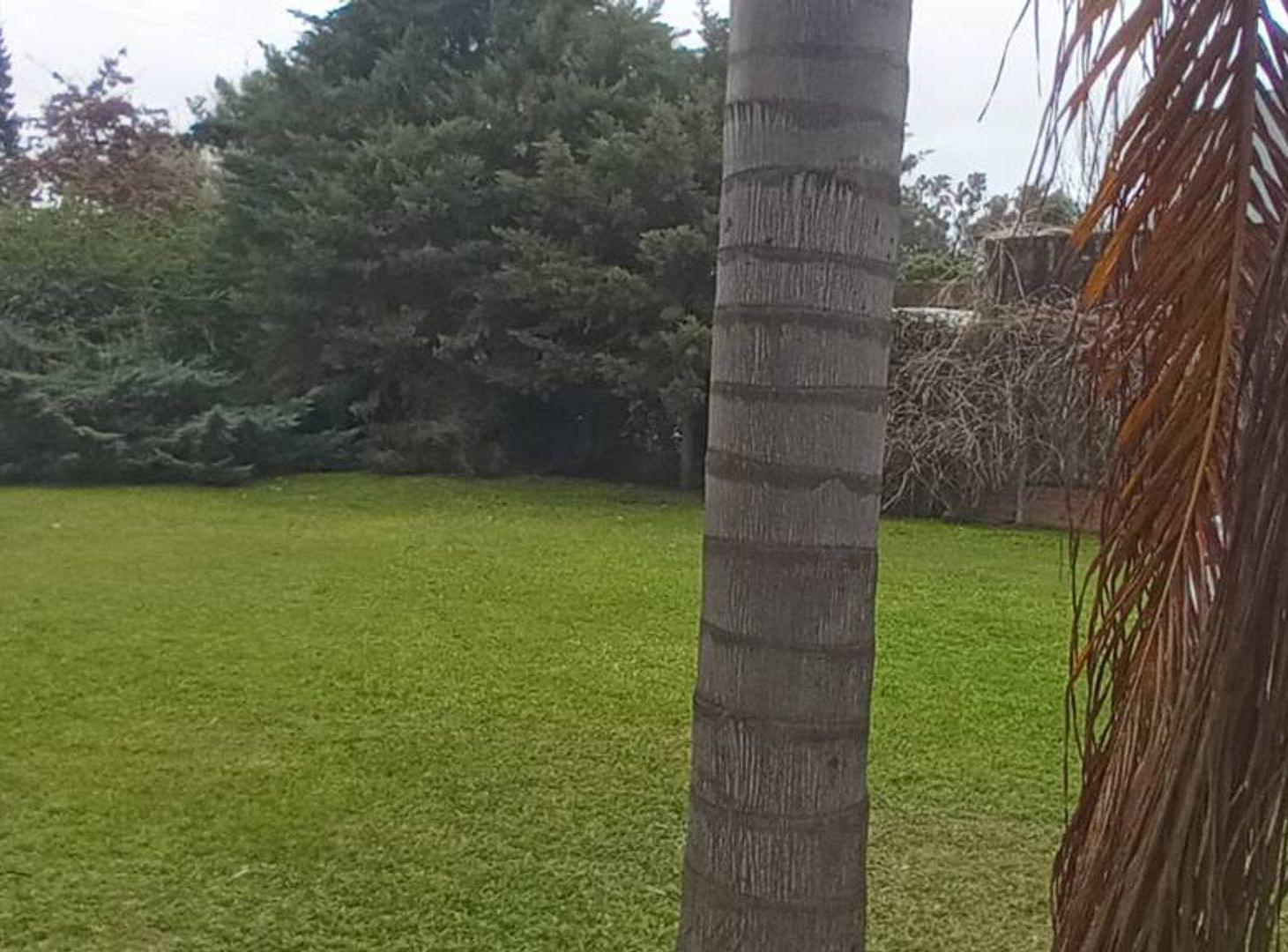 Foto de ¡TU OASIS EN VILLA CALIFORNIA! QUINTA EN VENTA, imagen 3