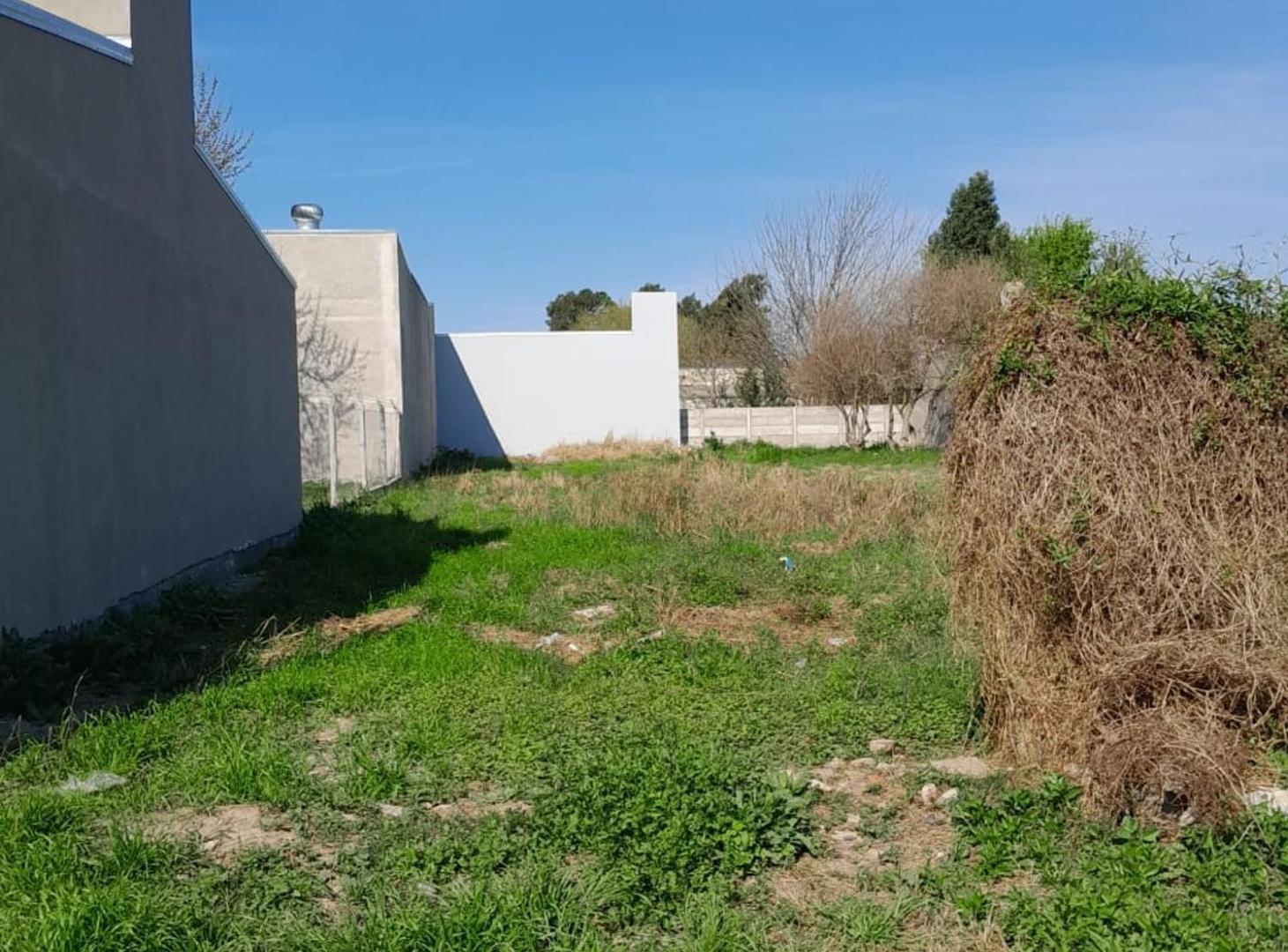 Foto de VENTA TERRENO RECREO 504 M2, imagen 2