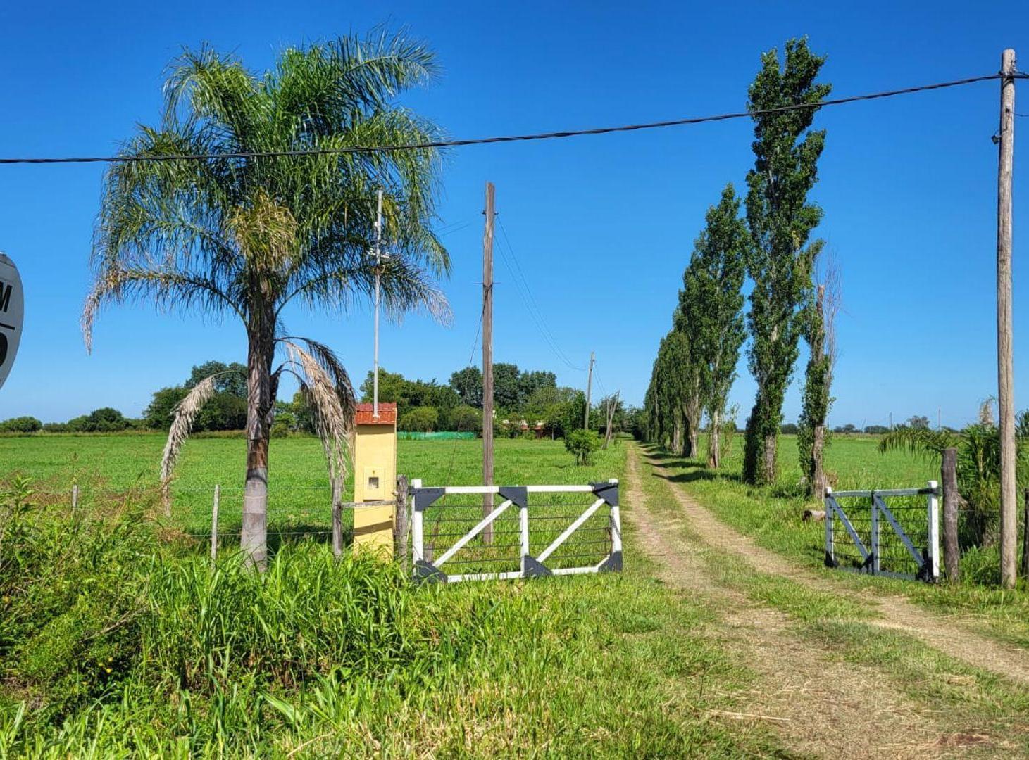 Foto de VENTA DE CAMPO RUTA 2, KM 22, 5,6 HECTAREAS, imagen 1