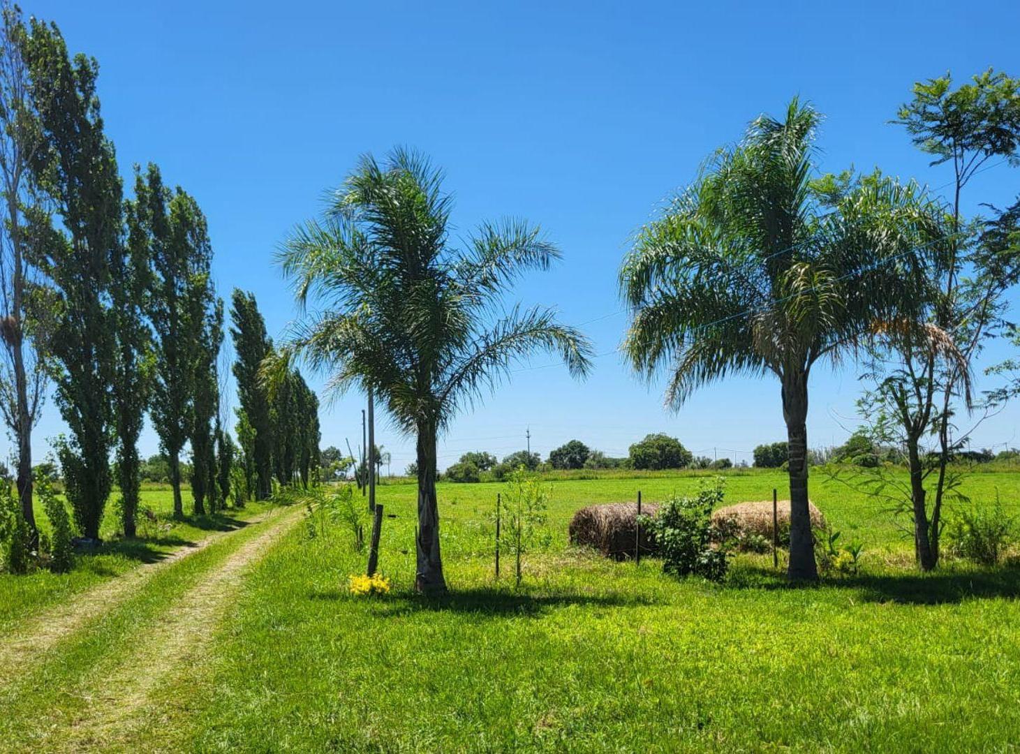 Foto de VENTA DE CAMPO RUTA 2, KM 22, 5,6 HECTAREAS, imagen 2