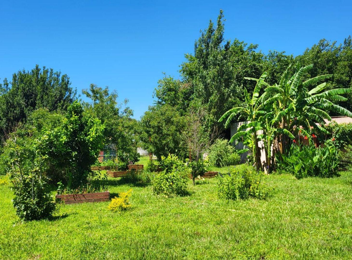 Foto de VENTA DE CAMPO RUTA 2, KM 22, 5,6 HECTAREAS, imagen 3