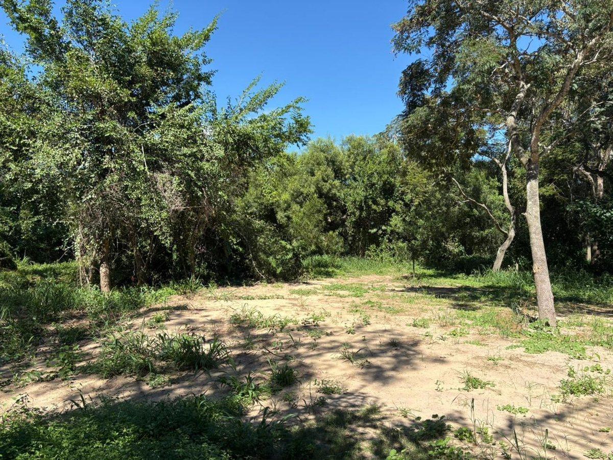 Foto de Lote de 600 metros en LOS CEIBOS, Arroyo Leyes, imagen 3