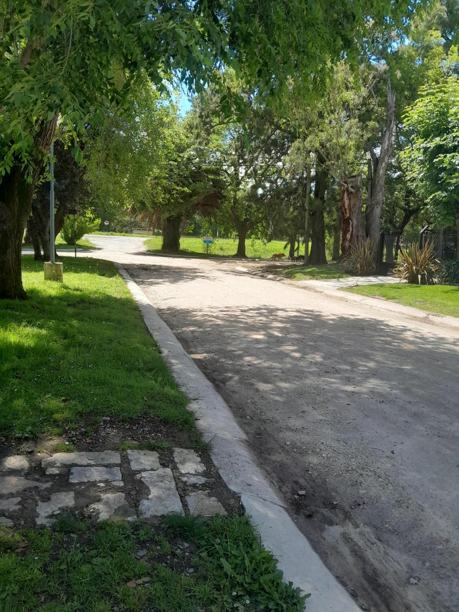 Chalet 4 Amb, Coch. Doble. T/permuta. Barrio La Florida 5
