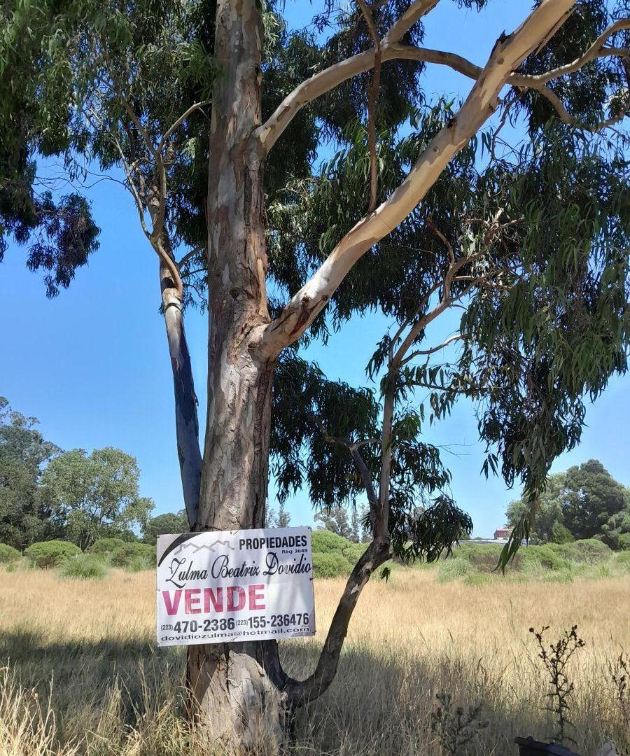 Foto de Lote de terreno sobre calle principal del Barrio Lomas de San Patricio, imagen 5